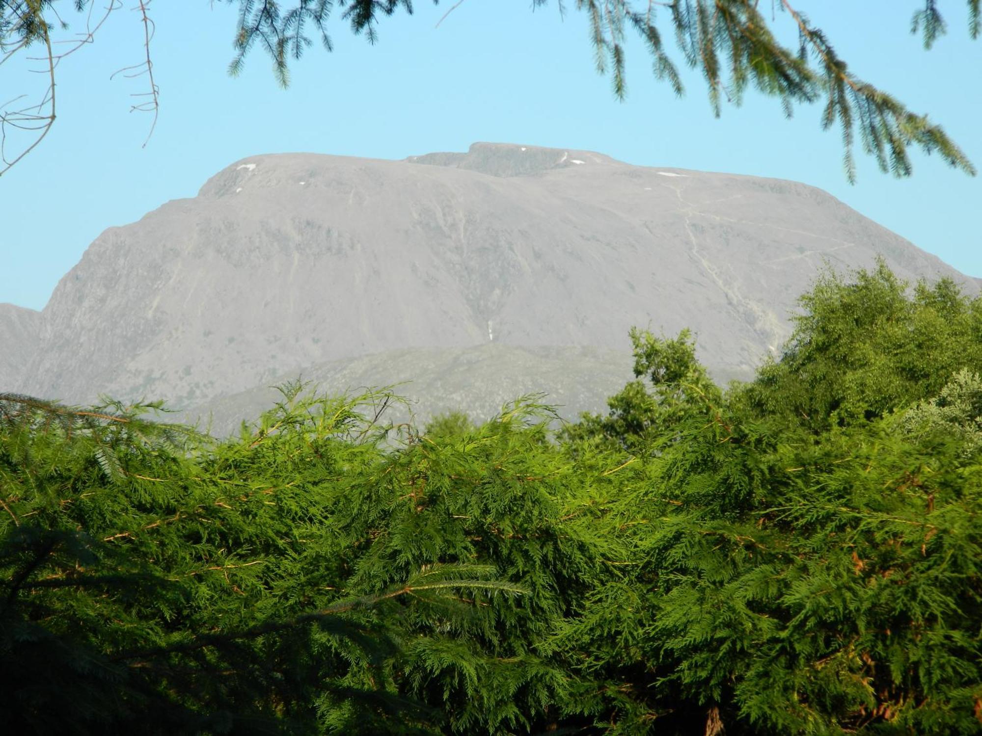 Tom Beag - Ben Nevis View Rooms Fort William Eksteriør billede