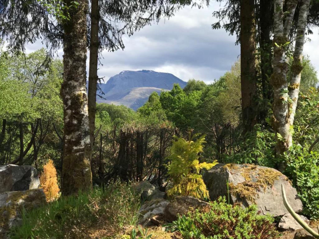 Tom Beag - Ben Nevis View Rooms Fort William Eksteriør billede