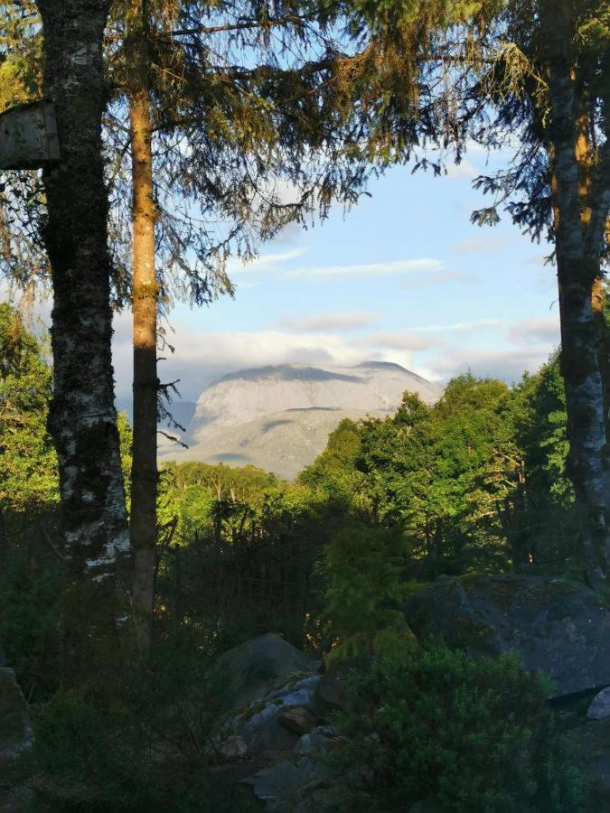 Tom Beag - Ben Nevis View Rooms Fort William Eksteriør billede