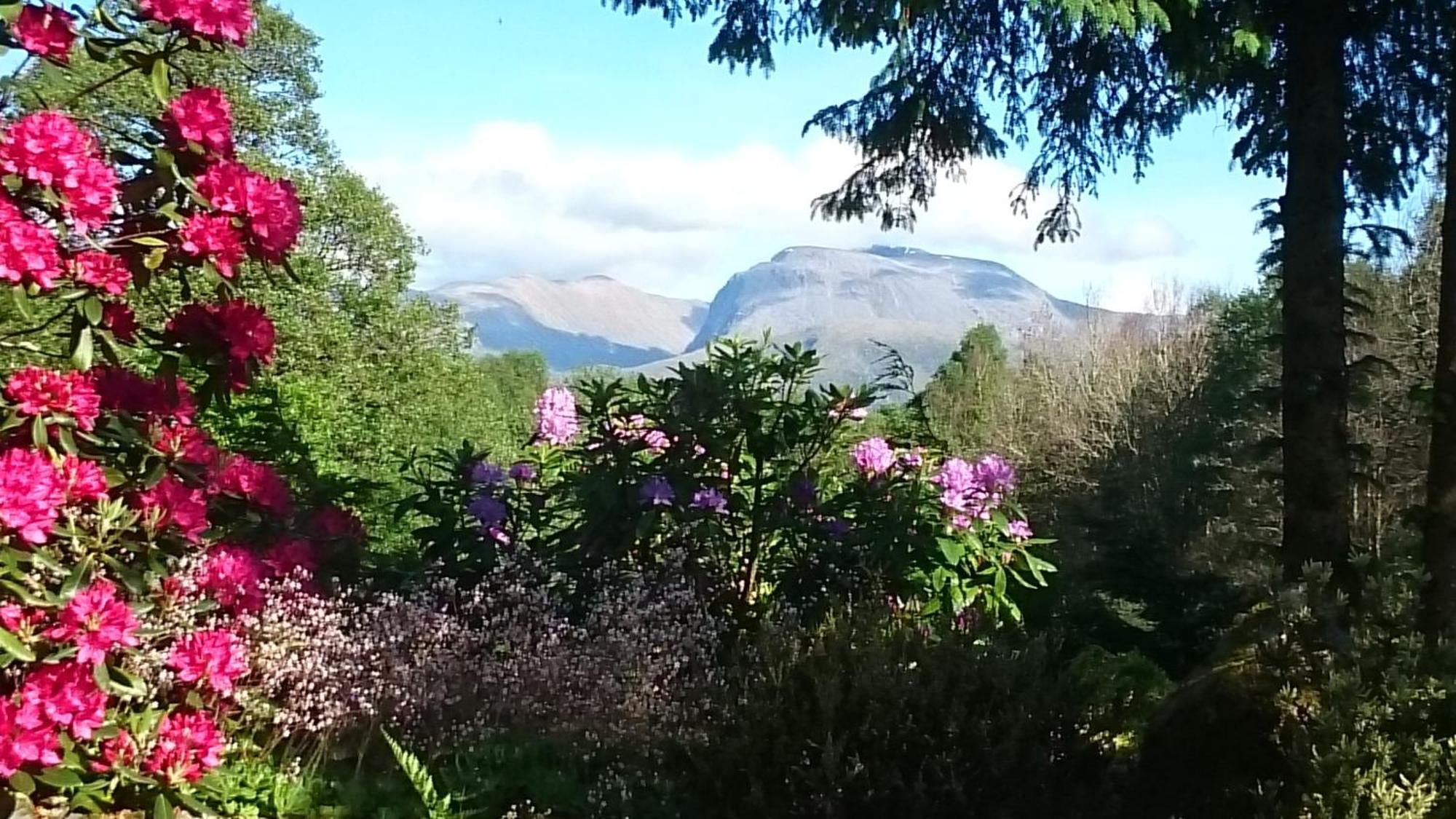 Tom Beag - Ben Nevis View Rooms Fort William Eksteriør billede